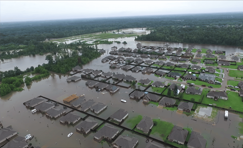 Zone Marecageuse Du Sud De La Louisiane