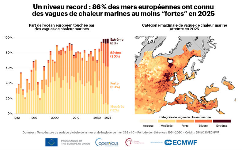 Mers européennes - Vagues de chaleur marines