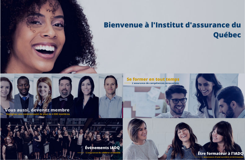 Institut d'assurance de dommages du Québec